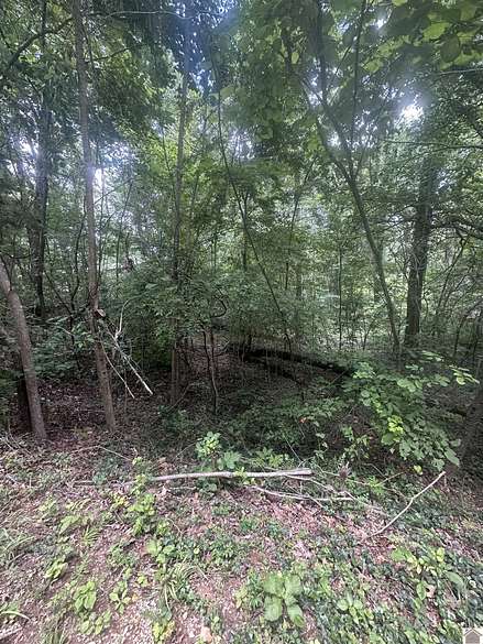 0.73 Acres of Residential Land for Sale in Eddyville, Kentucky