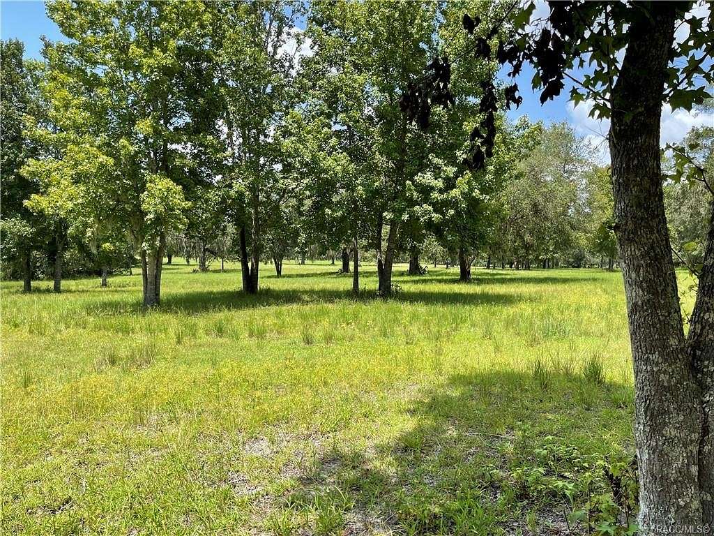 146 Acres of Agricultural Land for Sale in Brooksville, Florida