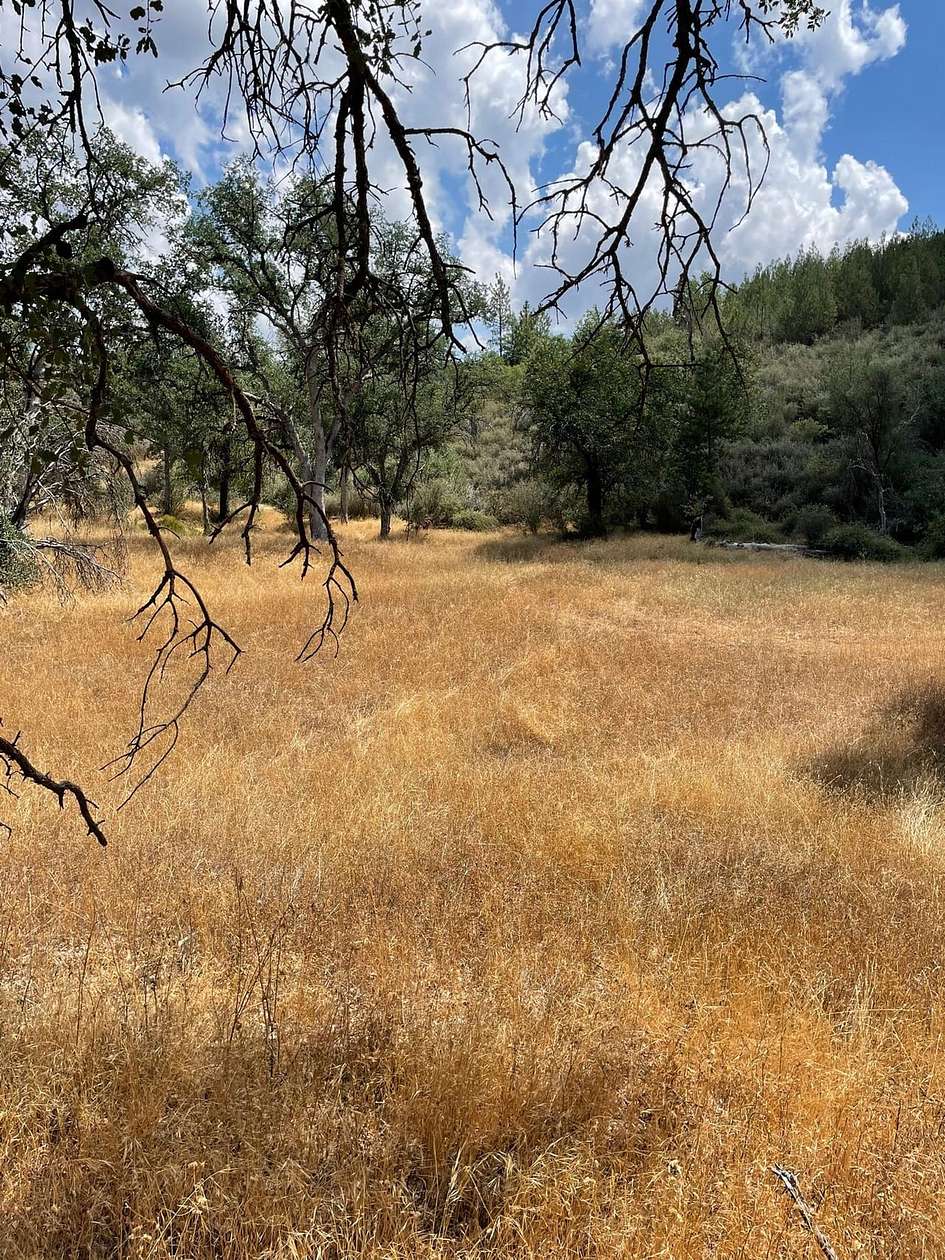 160 Acres of Recreational Land & Farm for Sale in Coulterville, California