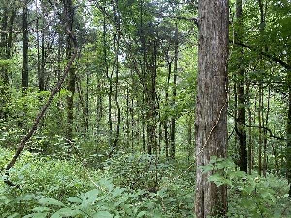 0.5 Acres of Residential Land for Sale in Granville, Tennessee