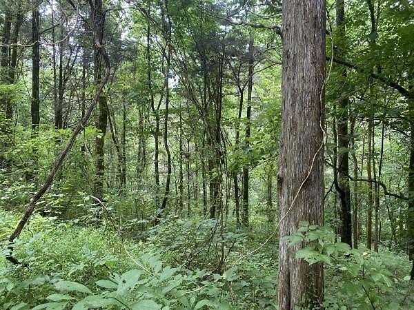 0.5 Acres of Residential Land for Sale in Granville, Tennessee