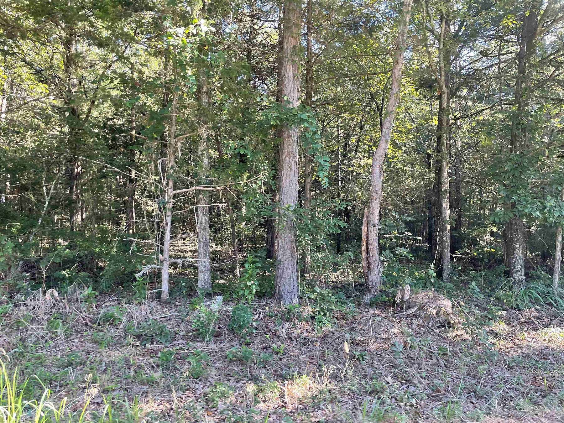 2.1 Acres of Land for Sale in Greers Ferry, Arkansas