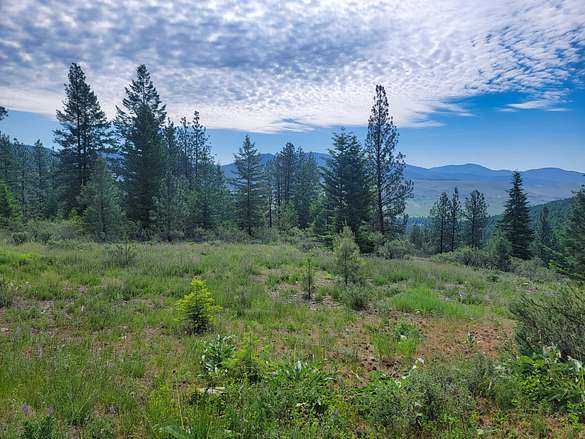 120 Acres of Land for Sale in Plains, Montana