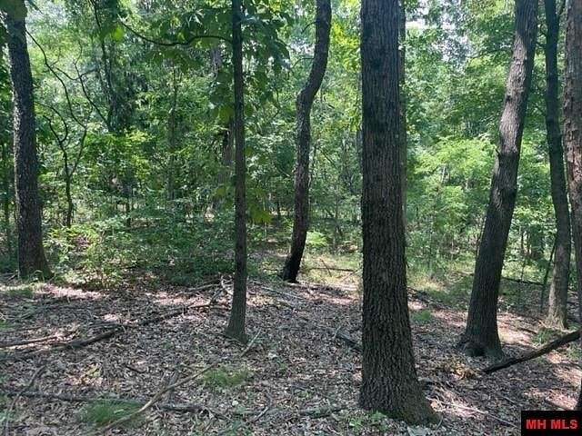 10 Acres of Land for Sale in Yellville, Arkansas