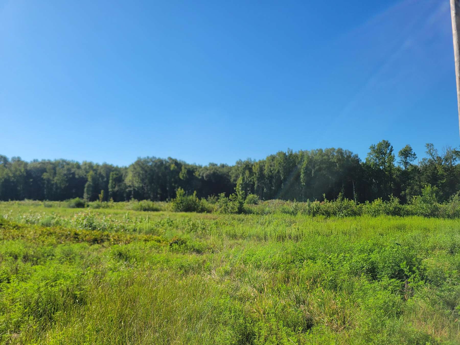 27.4 Acres of Recreational Land for Sale in Danville, Arkansas