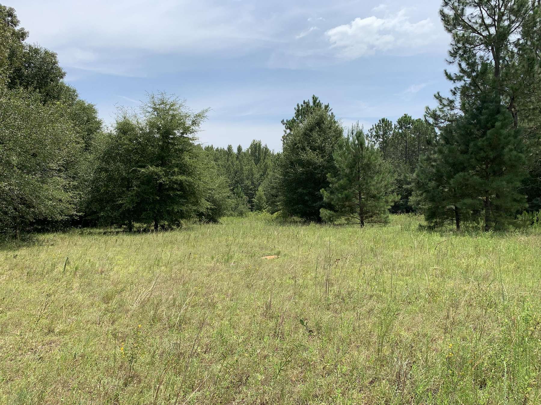 13.5 Acres of Recreational Land for Sale in Waynesboro, Georgia