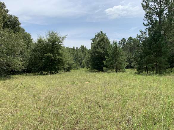 13.5 Acres of Recreational Land for Sale in Waynesboro, Georgia