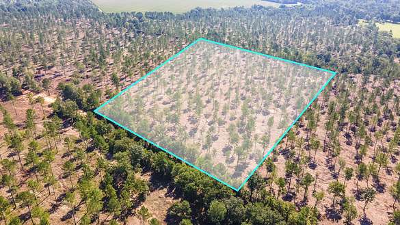 13 Acres of Agricultural Land for Sale in Wagener, South Carolina