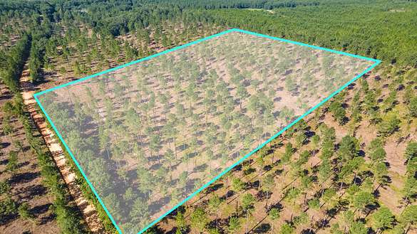 15 Acres of Agricultural Land for Sale in Wagener, South Carolina