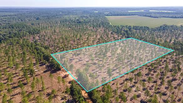 12.5 Acres of Agricultural Land for Sale in Wagener, South Carolina