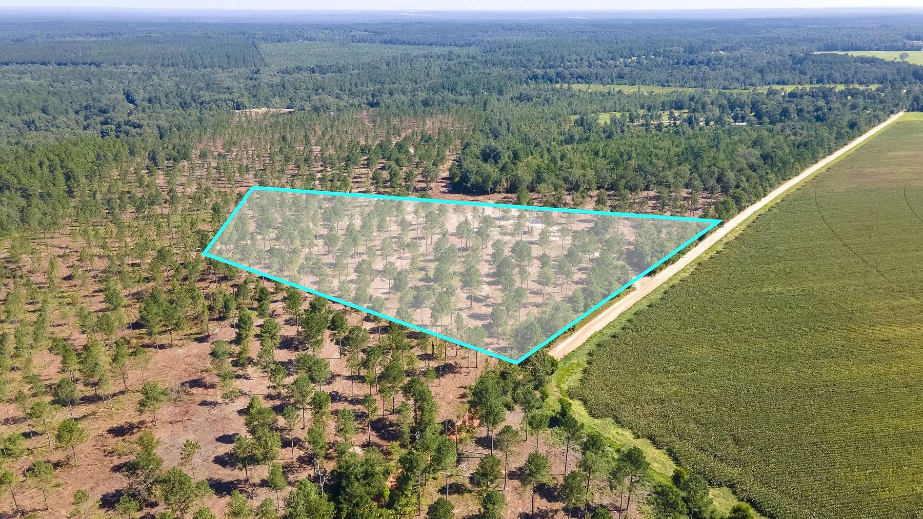 18.5 Acres of Agricultural Land for Sale in Wagener, South Carolina