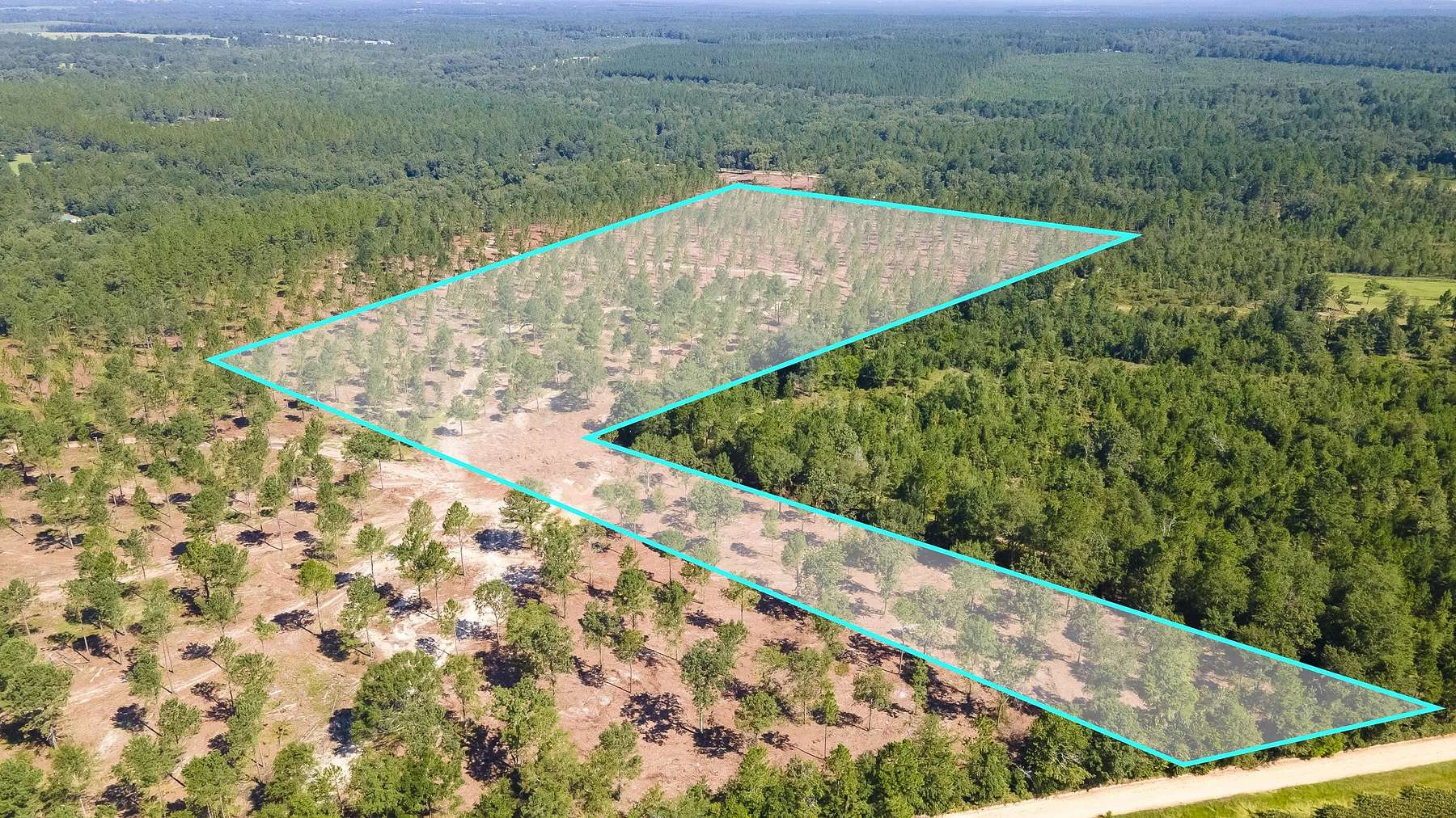 30.5 Acres of Agricultural Land for Sale in Wagener, South Carolina