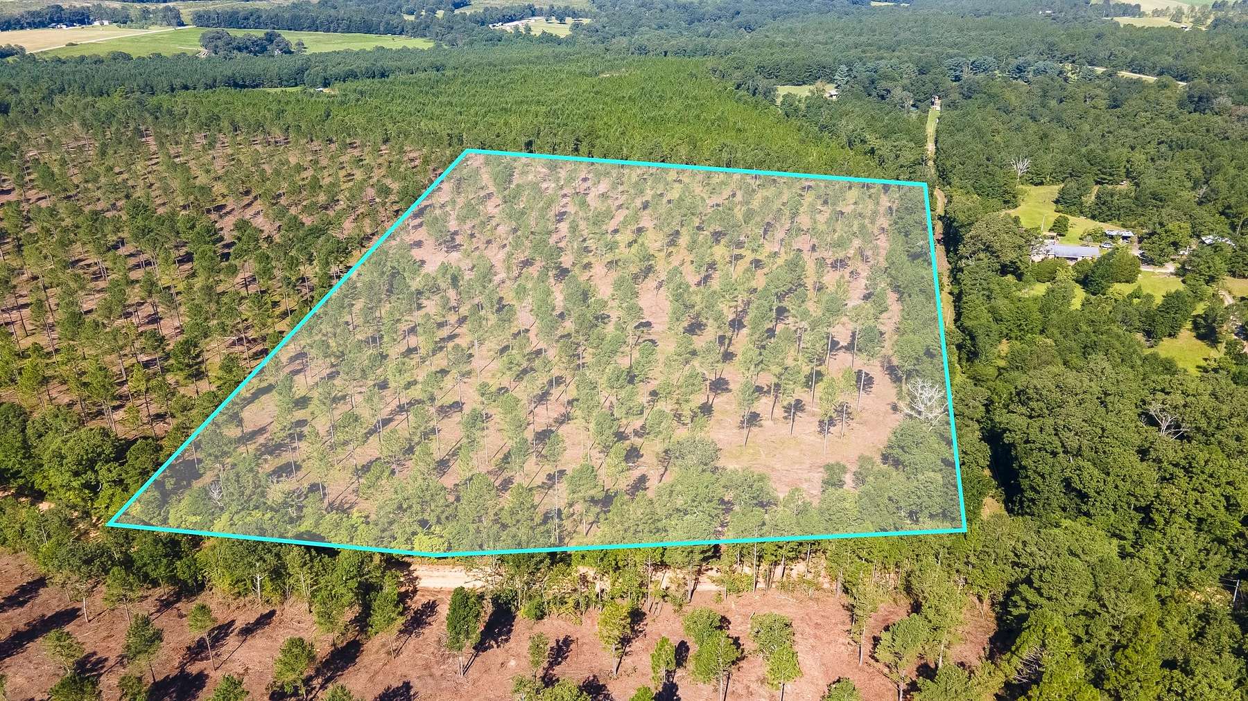 16 Acres of Agricultural Land for Sale in Wagener, South Carolina
