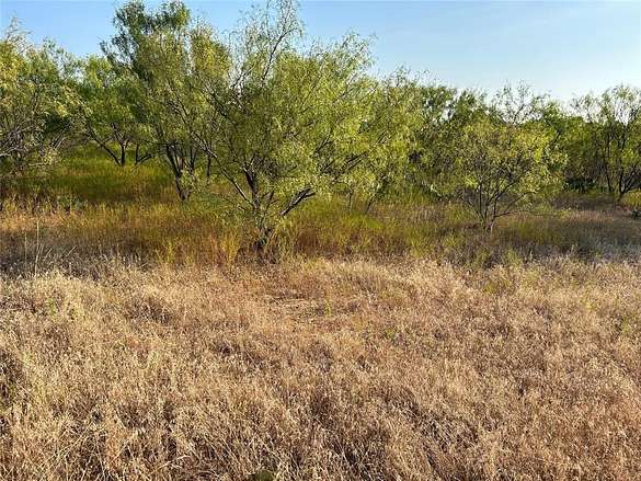 10 Acres of Residential Land for Sale in Desdemona, Texas