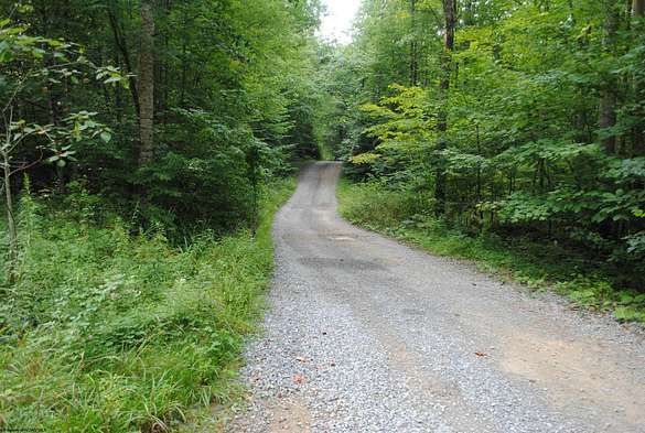 3.9 Acres of Residential Land for Sale in Huttonsville, West Virginia