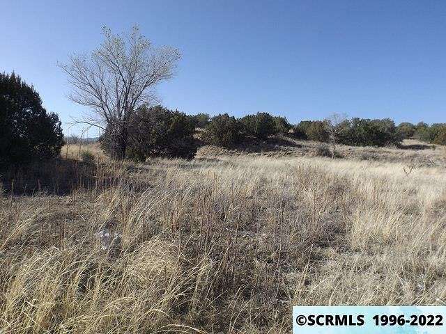 13.4 Acres of Agricultural Land for Sale in Santa Clara, New Mexico