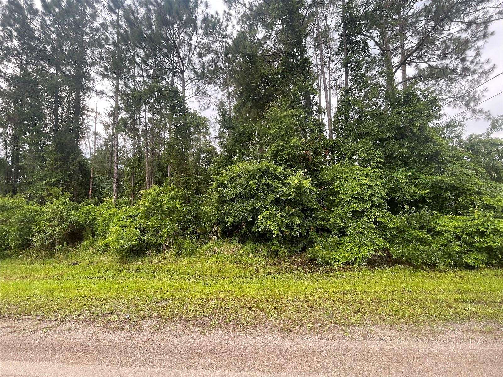 1.2 Acres of Residential Land for Sale in Bunnell, Florida