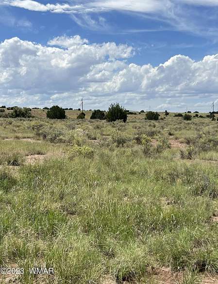 1.51 Acres of Residential Land for Sale in St. Johns, Arizona