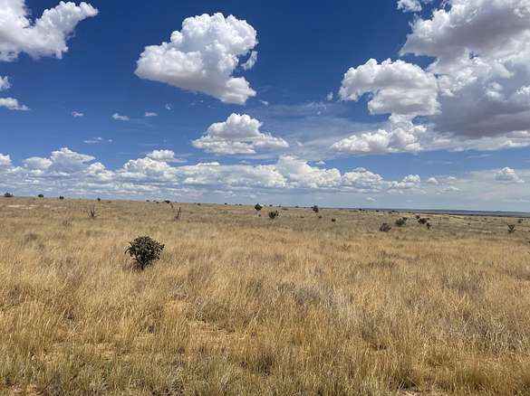 9.9 Acres of Land for Sale in Edgewood, New Mexico