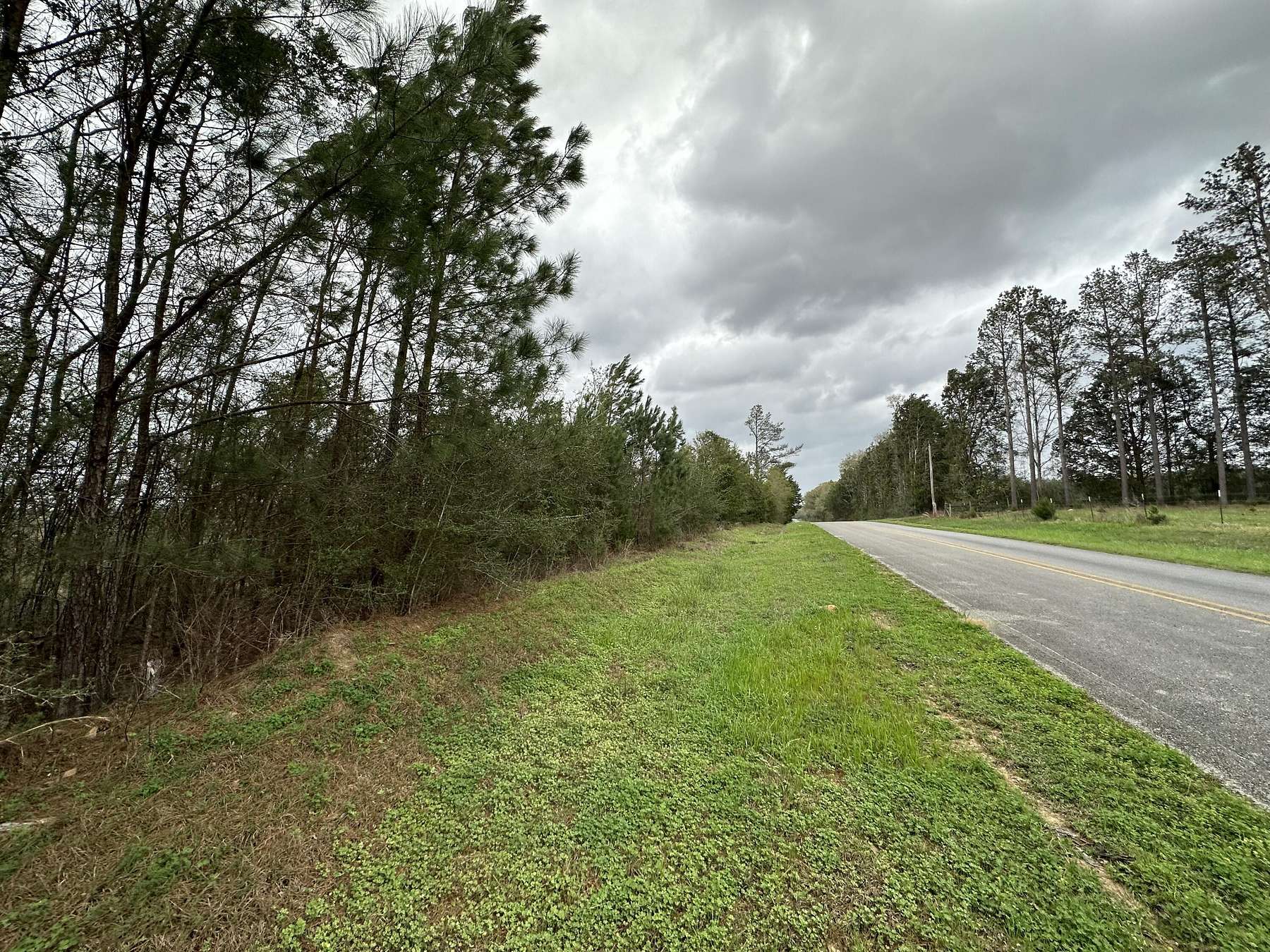 16.1 Acres of Recreational Land for Sale in DeFuniak Springs, Florida