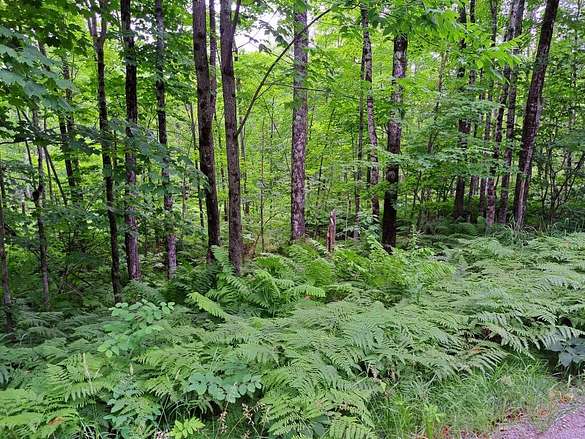 10 Acres of Land for Sale in New Vineyard, Maine