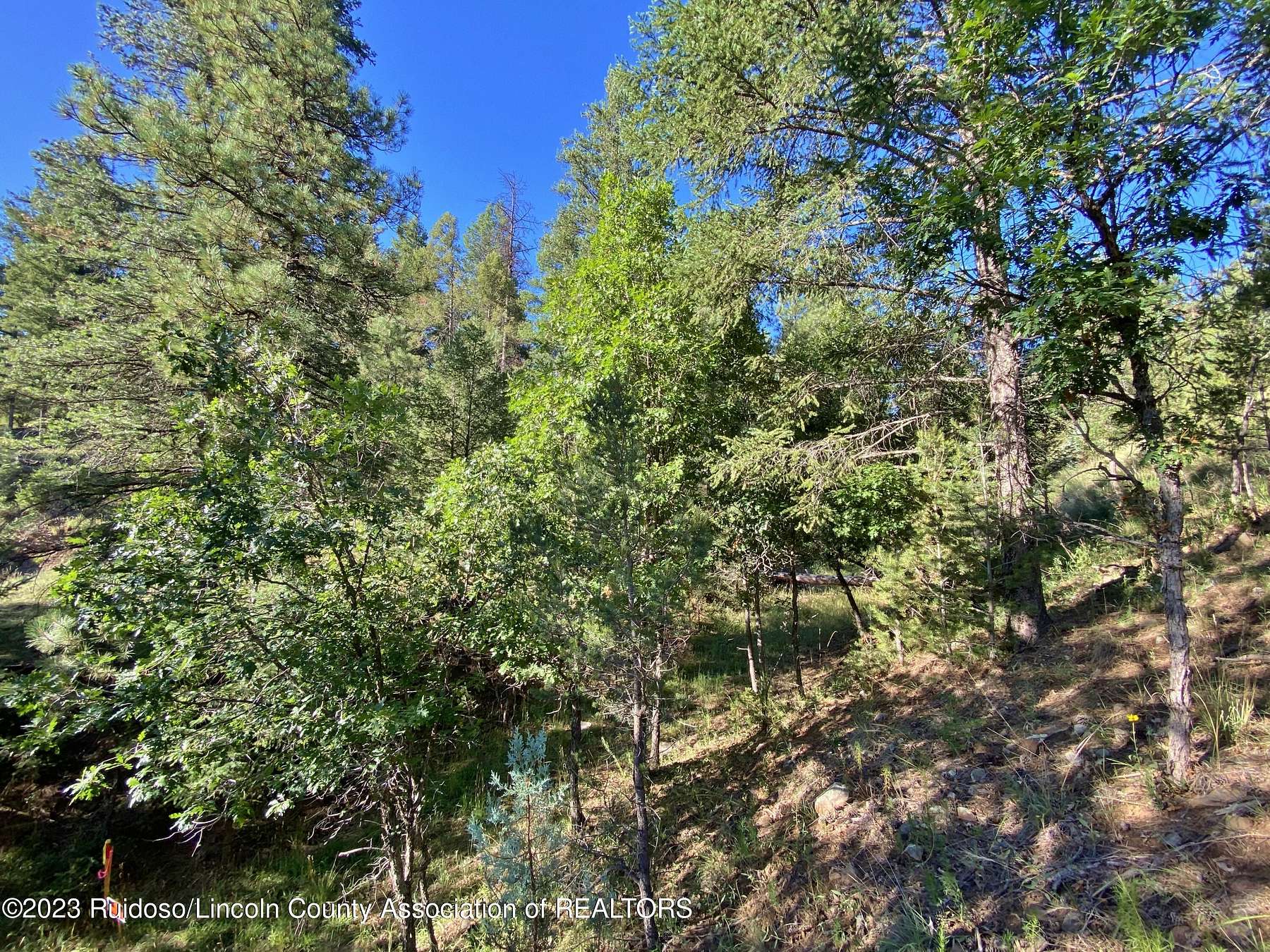 0.65 Acres of Land for Sale in Ruidoso, New Mexico