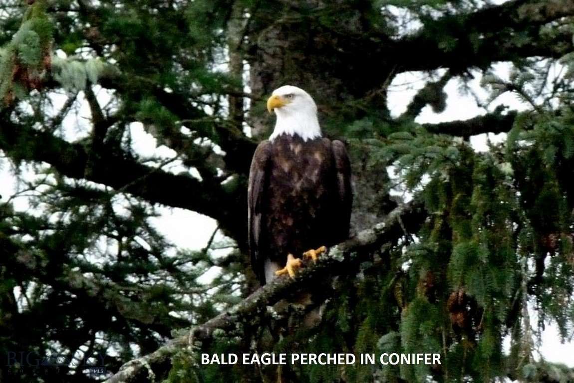 9.6 Acres of Land for Sale in Three Forks, Montana