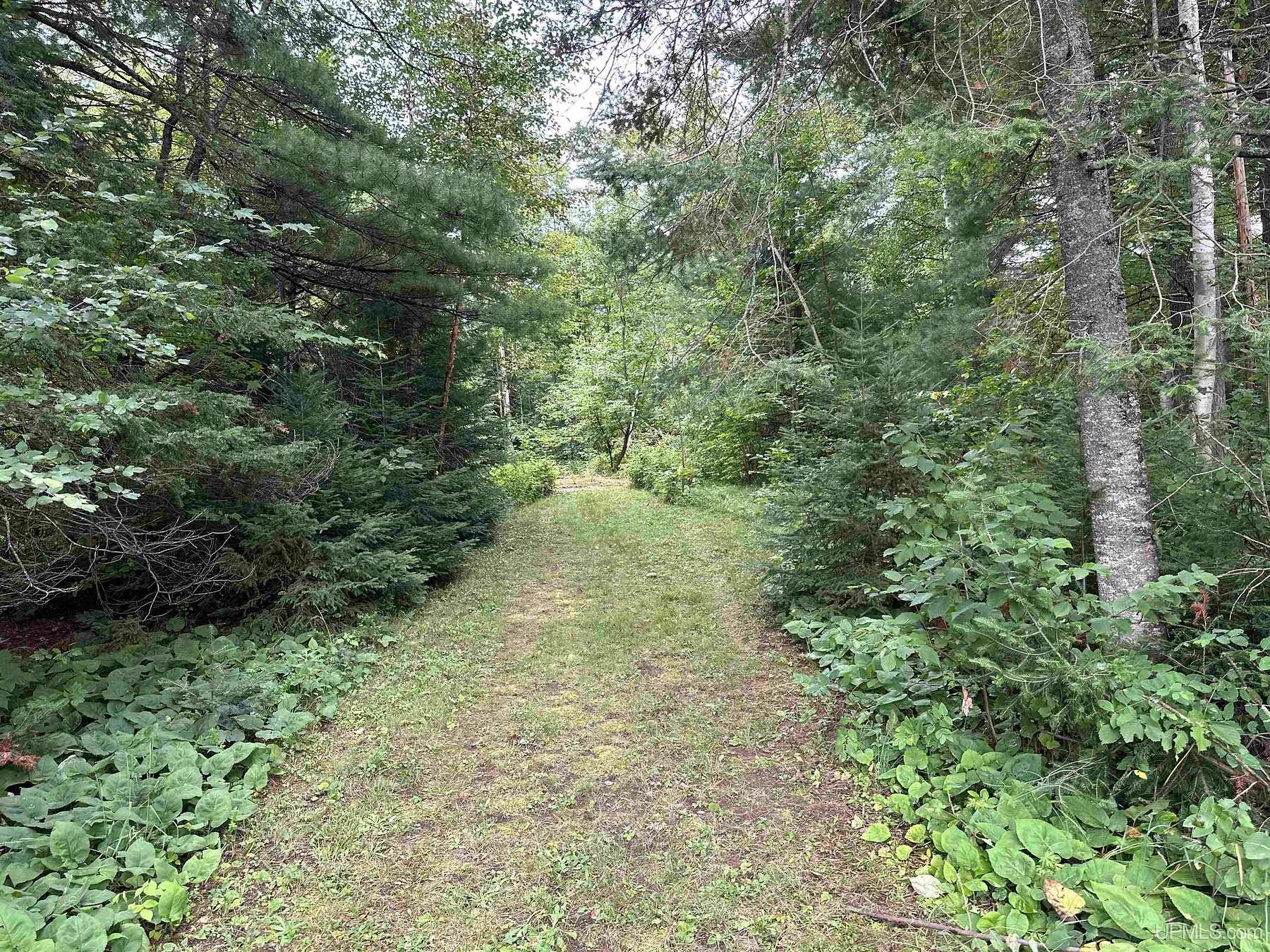 0.95 Acres of Land for Sale in Ishpeming, Michigan