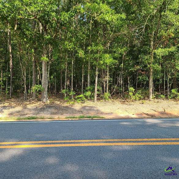 33.5 Acres of Land for Sale in Warner Robins, Georgia