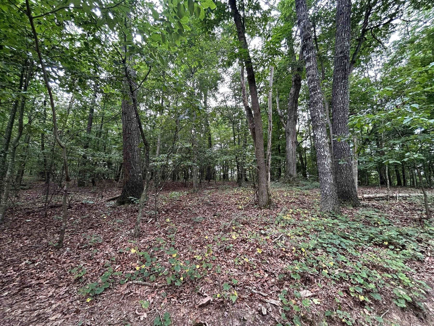38 Acres of Land for Sale in Dawsonville, Georgia