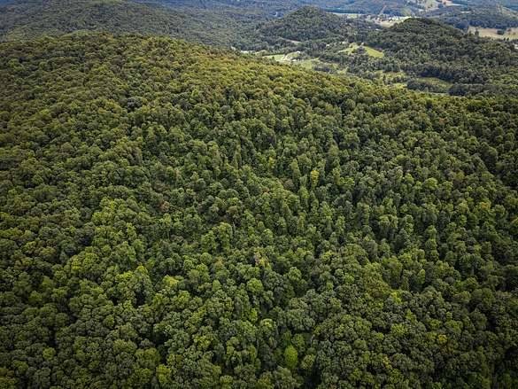 166 Acres of Recreational Land for Sale in Belington, West Virginia