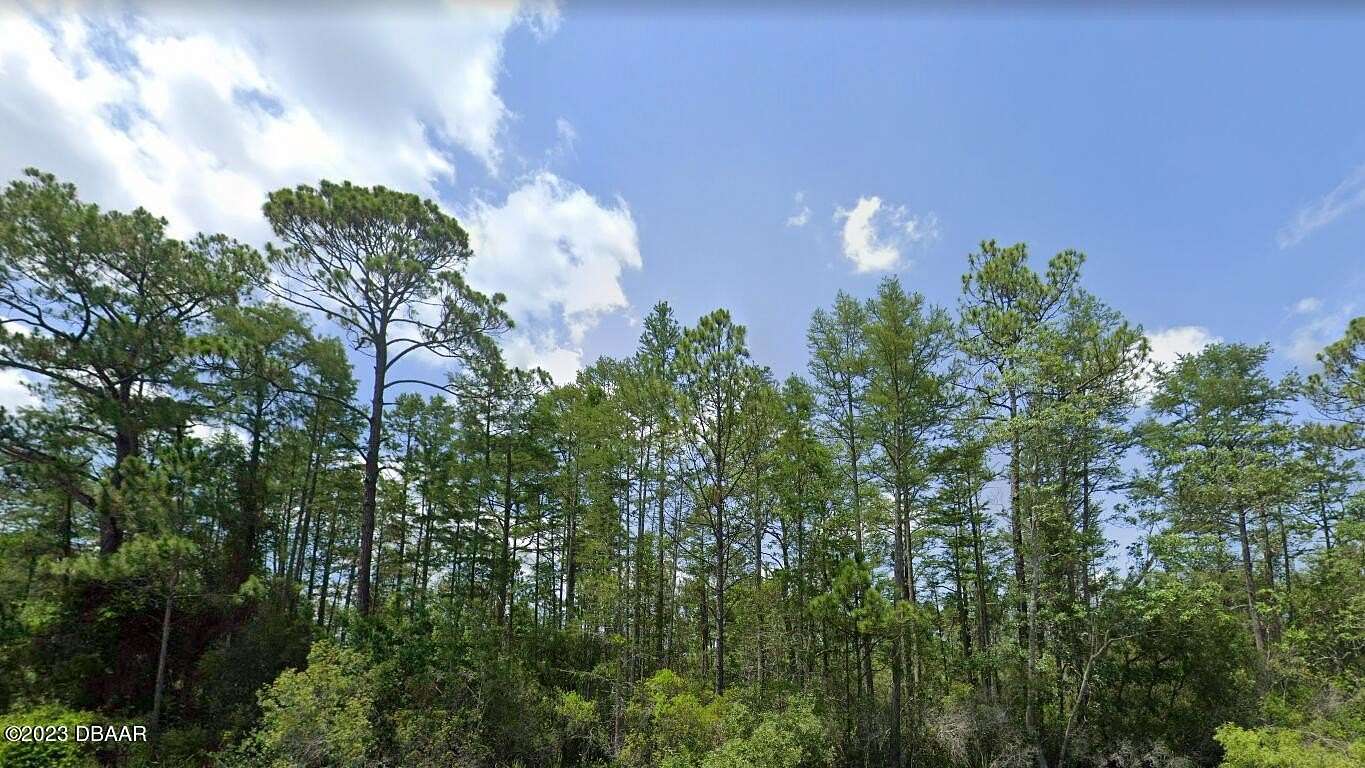 50 Acres of Agricultural Land for Sale in Perry, Florida