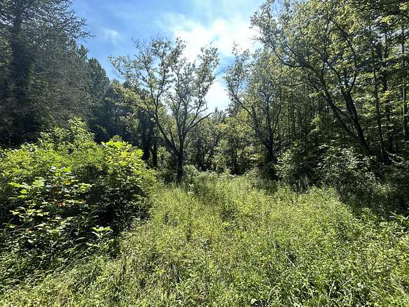 56.6 Acres of Recreational Land for Sale in Mount Vernon, Kentucky