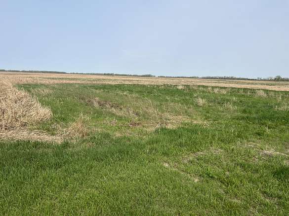 80 Acres of Agricultural Land for Sale in Hecla, South Dakota