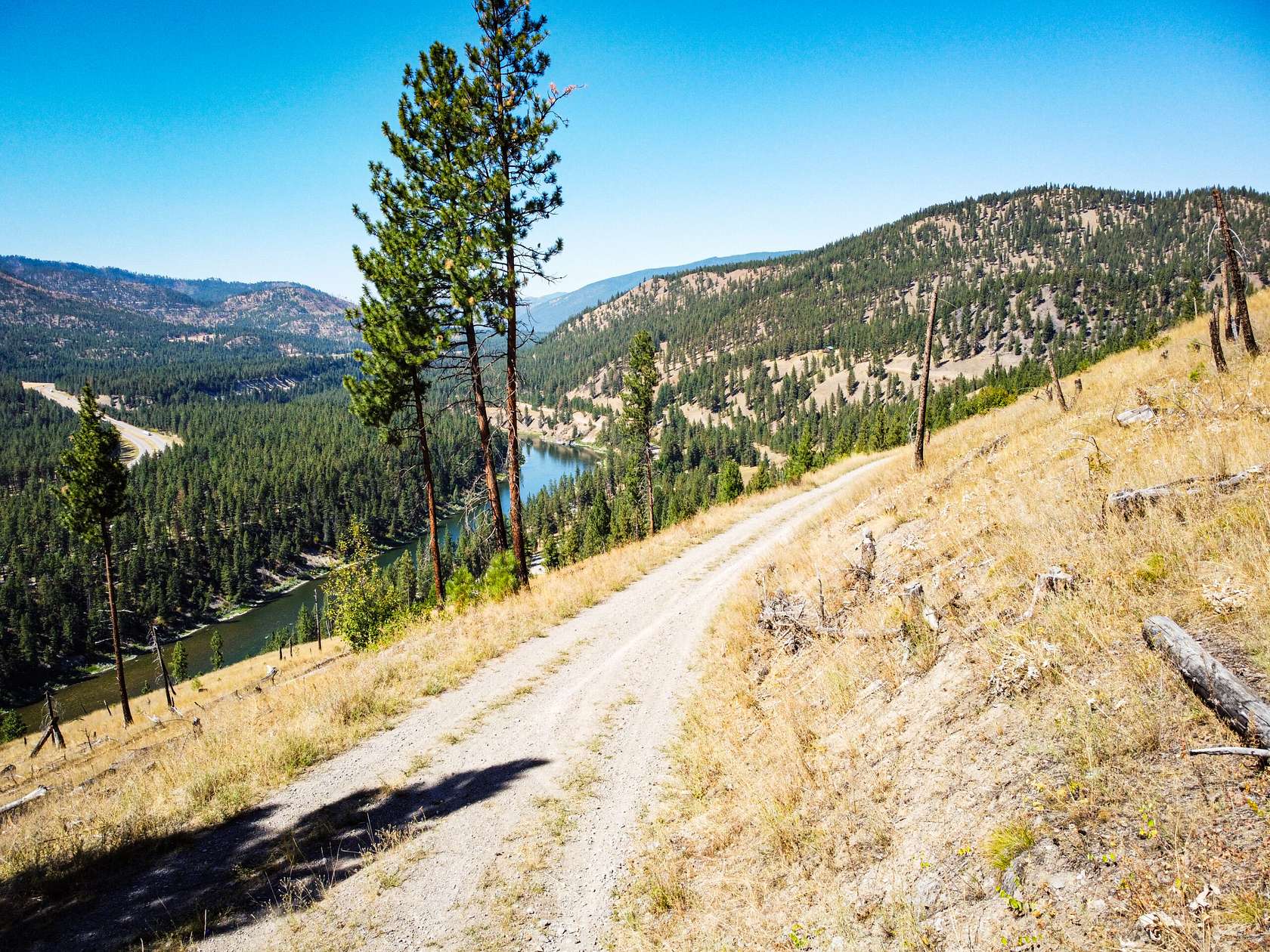 45 Acres of Recreational Land for Sale in Quartz, Montana