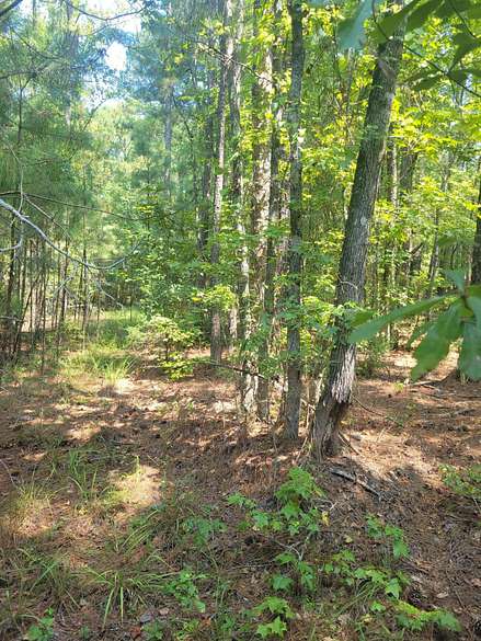 6.2 Acres of Residential Land for Sale in Appling, Georgia