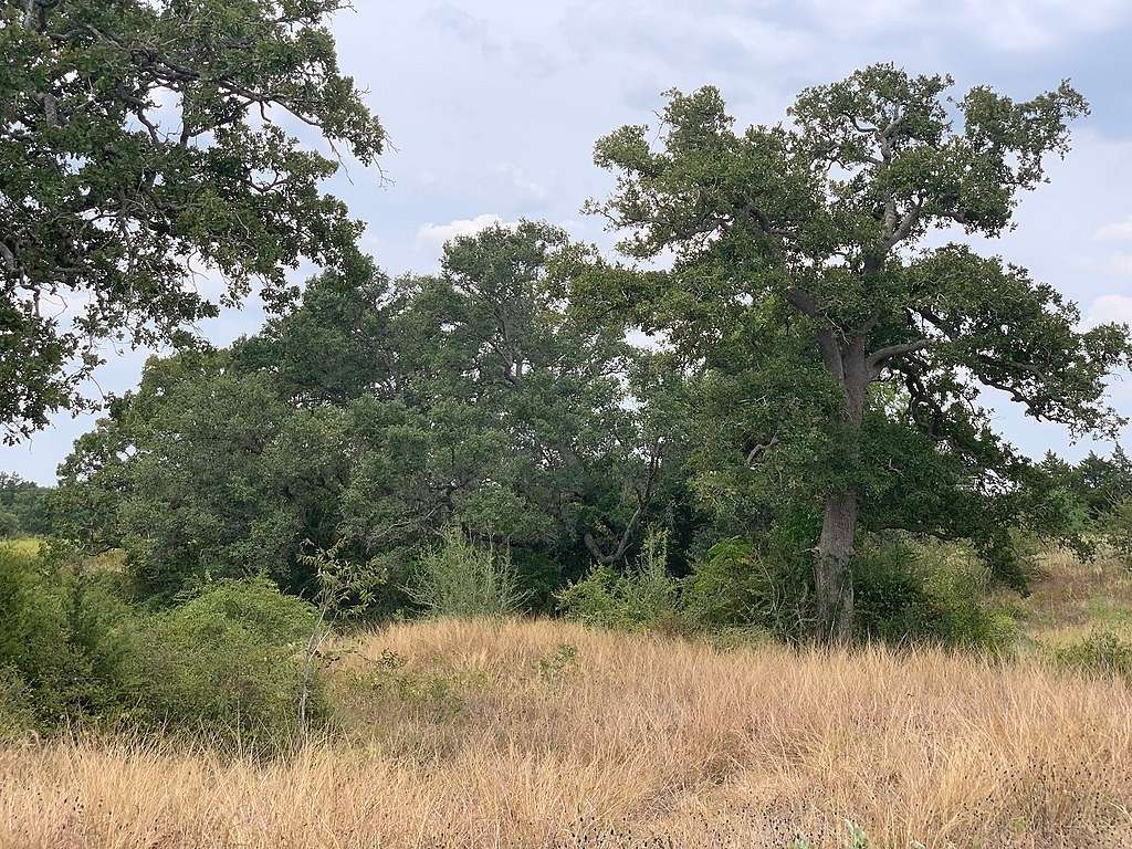 14.4 Acres of Land for Sale in Hallettsville, Texas