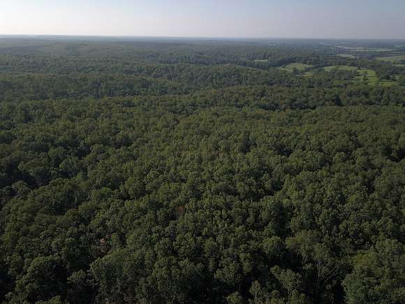 85.84 Acres of Land for Sale in Salem, Missouri