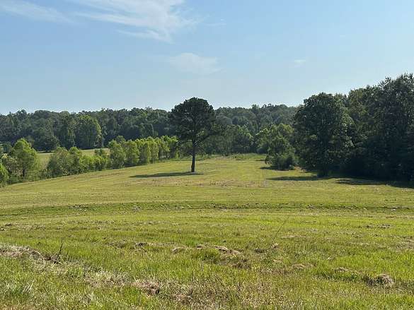 84 Acres of Land for Sale in Brantley, Alabama