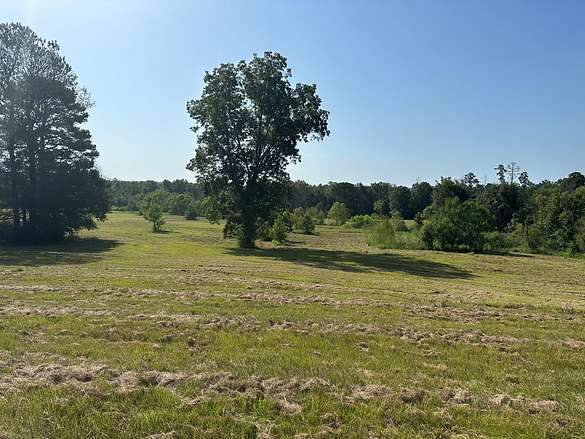 84 Acres of Land for Sale in Brantley, Alabama - LandSearch