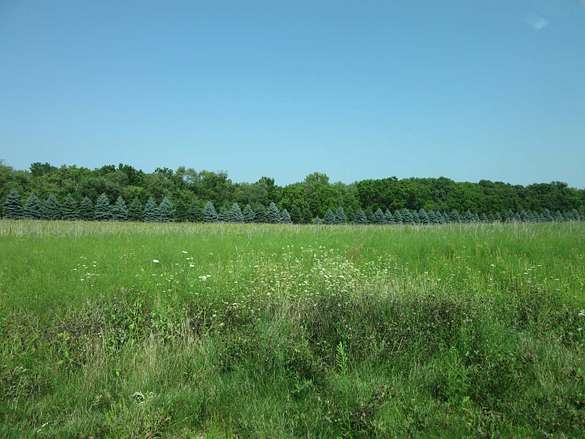 9.3 Acres of Land for Sale in Rio, Wisconsin