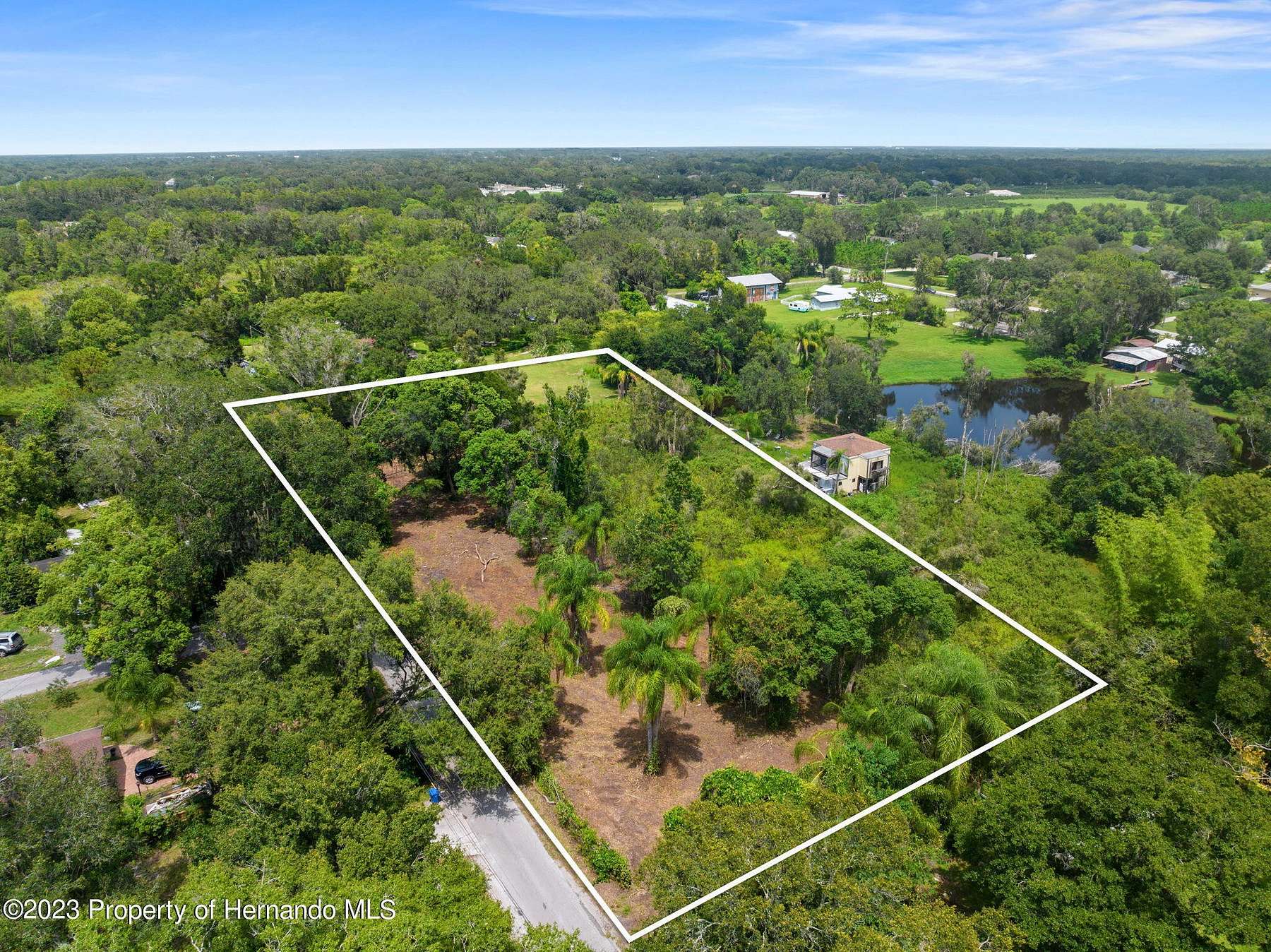 1 Acre of Residential Land for Sale in Lutz, Florida