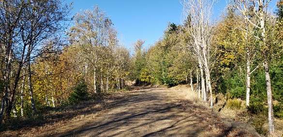 50 Acres of Recreational Land for Sale in Enumclaw, Washington