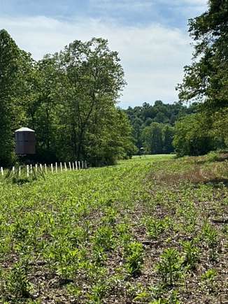 40 Acres of Recreational Land & Farm for Sale in Peebles, Ohio