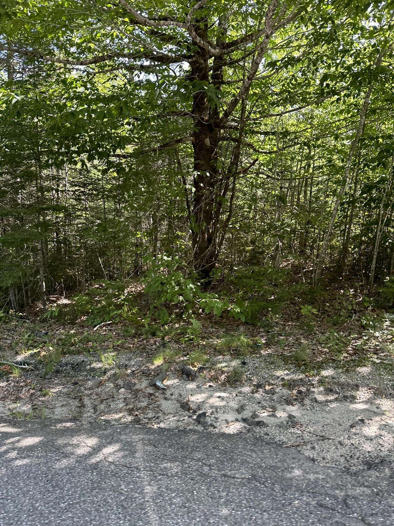 78.9 Acres of Land for Sale in Cherryfield, Maine