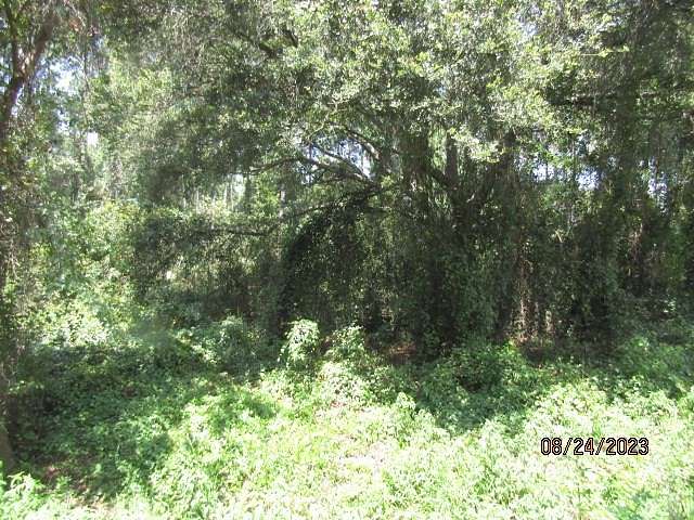 1 Acre of Residential Land for Sale in Carrabelle, Florida