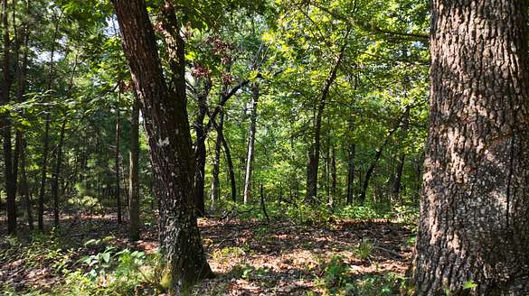 47 4 Acres Of Land For Sale In Berryville Arkansas LandSearch   Berryville Ar 107609816 