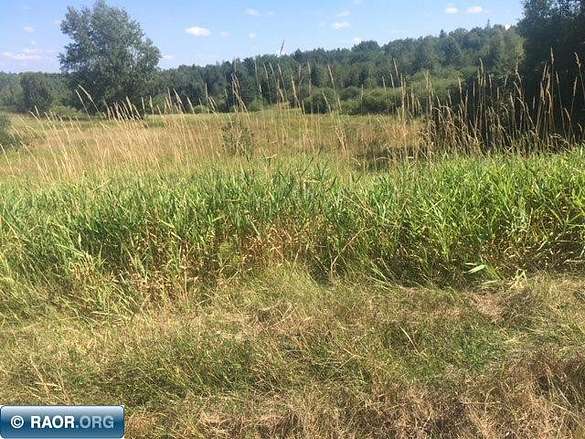 15 Acres of Land for Sale in Hibbing, Minnesota