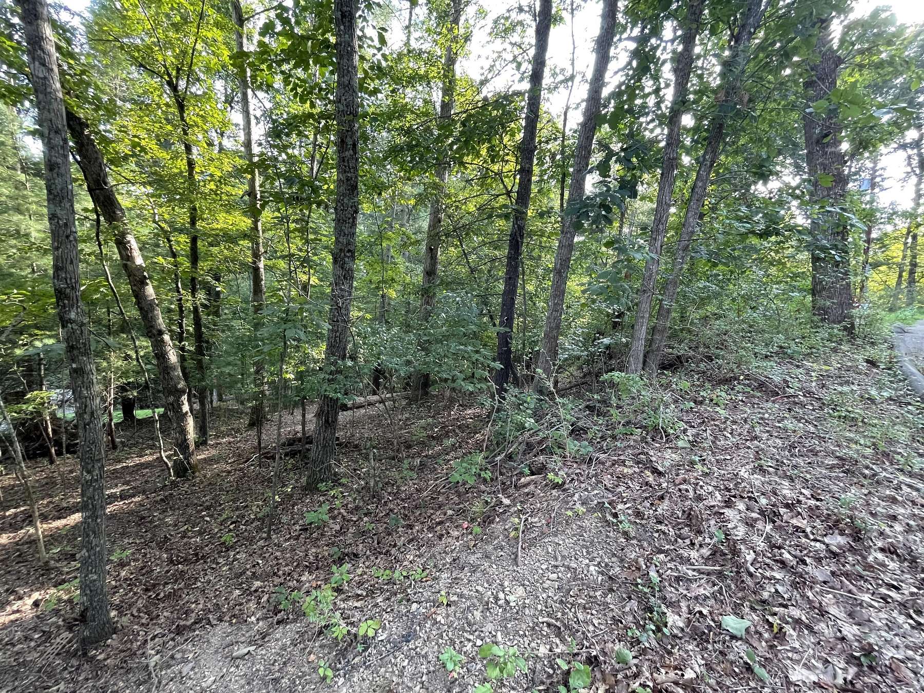 0.49 Acres of Residential Land for Sale in Bristol, Tennessee