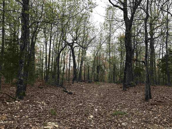 80 Acres of Recreational Land for Sale in Salem, Arkansas